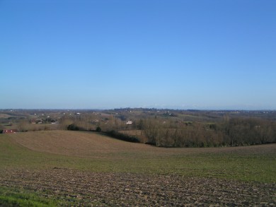 MINOLTA DIGITAL CAMERA