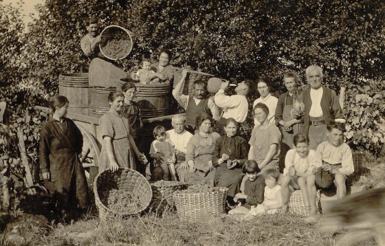 vendangespeyrehorade